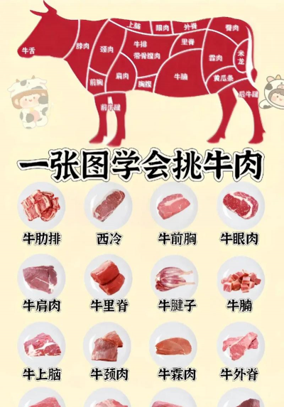 黄牛养殖,新手入门,常见问题解答 黄牛养殖,新手入门,常见问题解答