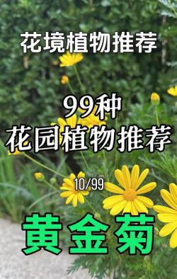 秋播花卉,选对品种,轻松打造秋季花园 秋播花卉,选对品种,轻松打造秋季花园