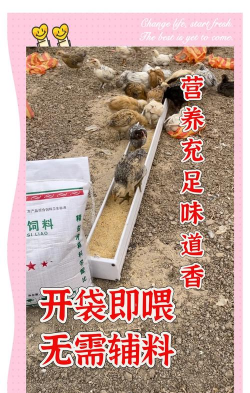 山鸡养殖,场地选择,饲料搭配 山鸡养殖,场地选择,饲料搭配