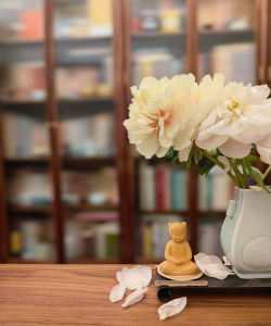 读书和养花,提升生活品质,带来心灵宁静 读书和养花,提升生活品质,带来心灵宁静