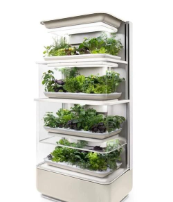 智能养花机,轻松养好花,新手也能用 智能养花机,轻松养好花,新手也能用