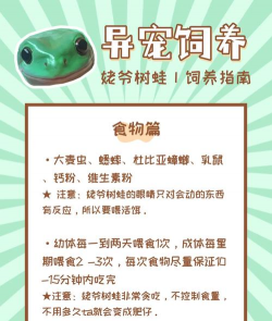 养殖青蛙,掌握关键技巧,实现稳定收益 养殖青蛙,掌握关键技巧,实现稳定收益