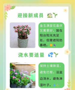 玉泉营花卉,选购技巧,养护要点 玉泉营花卉,选购技巧,养护要点