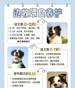 犬养殖基地,挑选靠谱场所,关注健康与品种 犬养殖基地,挑选靠谱场所,关注健康与品种