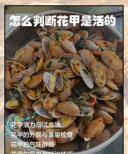 人工养花甲,掌握养殖技巧,实现稳定收益 人工养花甲,掌握养殖技巧,实现稳定收益