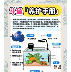 养殖工作,提升养殖效率,掌握实用技巧 养殖工作,提升养殖效率,掌握实用技巧