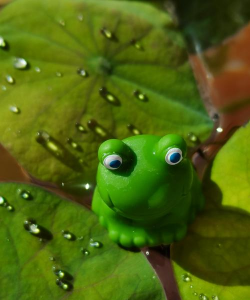 熟豆子养花,废物利用,植物更茂盛 熟豆子养花,废物利用,植物更茂盛