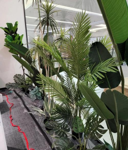 玻璃墙养花,美化家居环境,提升生活品质 玻璃墙养花,美化家居环境,提升生活品质