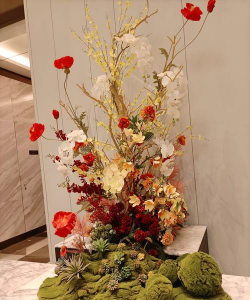 观赏性花卉,提升家居美感,营造舒适氛围 观赏性花卉,提升家居美感,营造舒适氛围