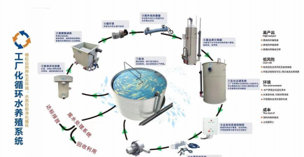 循环养殖,提升效率,实现可持续 循环养殖,提升效率,实现可持续