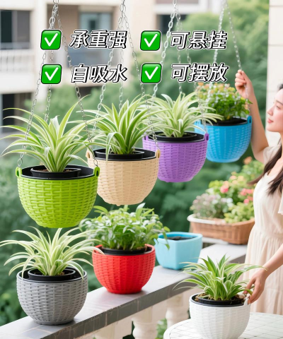 养花的吊蓝,美化家居空间,提升生活情趣 养花的吊蓝,美化家居空间,提升生活情趣