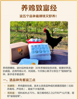 致富养殖,选对项目,掌握方法 致富养殖,选对项目,掌握方法