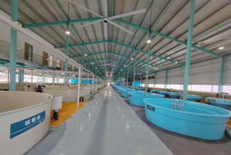 养殖系统,提升管理效率,优化养殖流程 养殖系统,提升管理效率,优化养殖流程