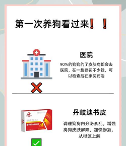 宠物养殖基地,挑选靠谱商家,避免踩坑指南 宠物养殖基地,挑选靠谱商家,避免踩坑指南