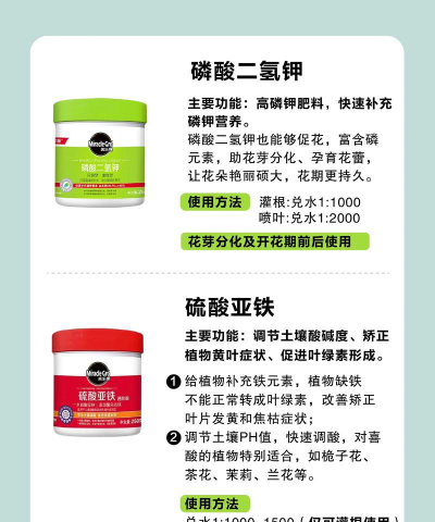 家养花用什么肥最好,肥料选择要点,常见问题解答 家养花用什么肥最好,肥料选择要点,常见问题解答