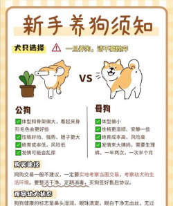 狗狗养殖,新手入门,常见问题解答 狗狗养殖,新手入门,常见问题解答