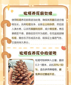 松塔养花正确使用方法,解决常见问题,提升种植效果 松塔养花正确使用方法,解决常见问题,提升种植效果