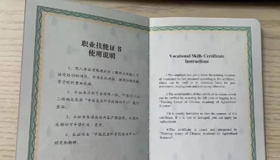 养花种花工作招聘,了解岗位要求,找到合适机会 养花种花工作招聘,了解岗位要求,找到合适机会