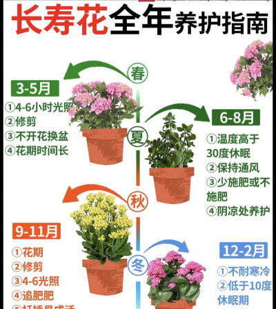 秋季花卉有哪些,常见品种推荐,养护要点分享 秋季花卉有哪些,常见品种推荐,养护要点分享
