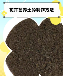 家庭养花如何自制花土,掌握关键步骤,轻松搞定营养土 家庭养花如何自制花土,掌握关键步骤,轻松搞定营养土