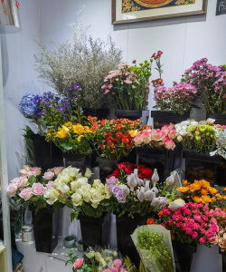 花卉店加盟,选对品牌,轻松开店 花卉店加盟,选对品牌,轻松开店