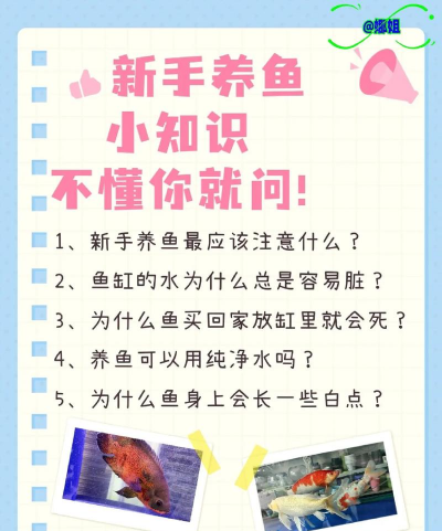 鱼养殖技术,新手入门指南,常见问题解答 鱼养殖技术,新手入门指南,常见问题解答