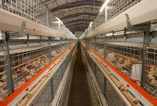 养殖机械,提升养殖效率,降低人工成本 养殖机械,提升养殖效率,降低人工成本