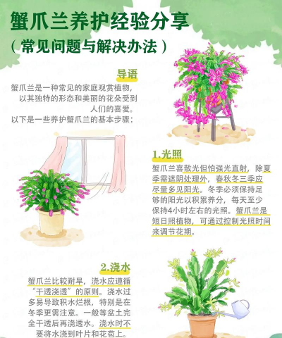 养花好难,新手常见问题,轻松解决技巧 养花好难,新手常见问题,轻松解决技巧