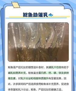 养殖鲶鱼,掌握关键技巧,实现稳定增收 养殖鲶鱼,掌握关键技巧,实现稳定增收