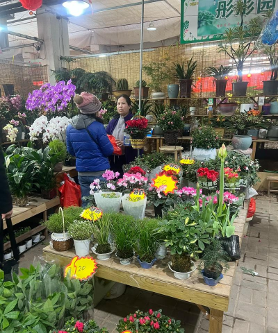 唐山花卉市场,选购指南,避坑提醒 唐山花卉市场,选购指南,避坑提醒