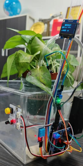 自动养花系统,智能养护,轻松养好花 自动养花系统,智能养护,轻松养好花