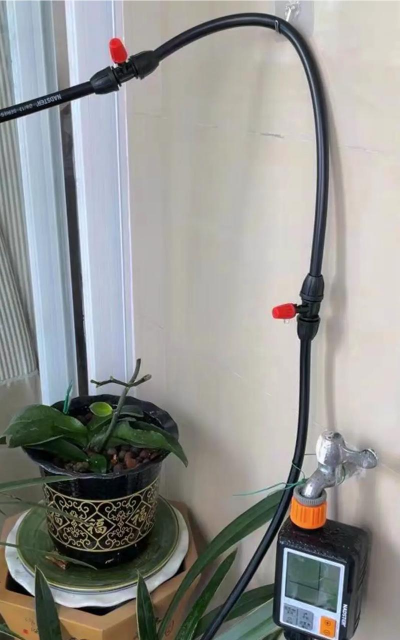 自动养花系统,解放双手,轻松养好花 自动养花系统,解放双手,轻松养好花