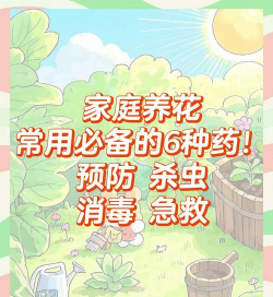 养花常用药,新手必备清单,轻松解决病虫害 养花常用药,新手必备清单,轻松解决病虫害