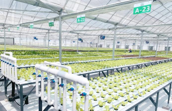 温室养殖,提升产量,优化种植环境 温室养殖,提升产量,优化种植环境