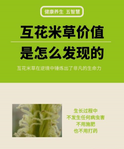 米糠可以养花吗,了解正确用法,避免常见误区 米糠可以养花吗,了解正确用法,避免常见误区
