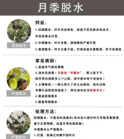 养花专家阅读答案,常见问题解析,实用技巧分享 养花专家阅读答案,常见问题解析,实用技巧分享