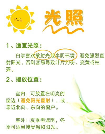 养花技术培训,提升种植技能,掌握养护要点 养花技术培训,提升种植技能,掌握养护要点