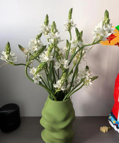 办公桌养花,提升工作效率,改善工作心情 办公桌养花,提升工作效率,改善工作心情