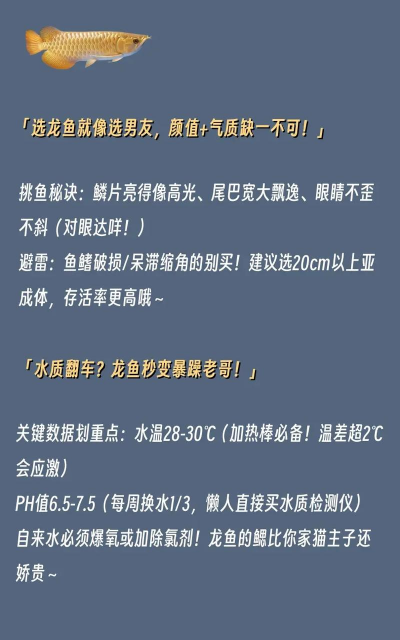 龙鱼养殖,新手入门,常见问题解答 龙鱼养殖,新手入门,常见问题解答