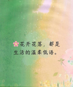 养花的心情句子,分享美好瞬间,记录生活点滴 养花的心情句子,分享美好瞬间,记录生活点滴