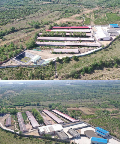 吉林养殖,产业现状,发展前景 吉林养殖,产业现状,发展前景