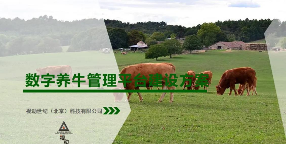 牧业养殖,提升生产效率,优化管理方法 牧业养殖,提升生产效率,优化管理方法