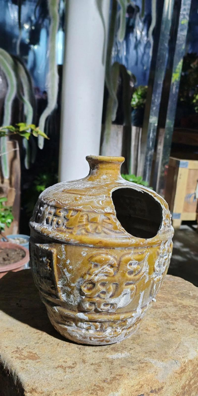 白酒瓶养花,废物利用,美化家居 白酒瓶养花,废物利用,美化家居