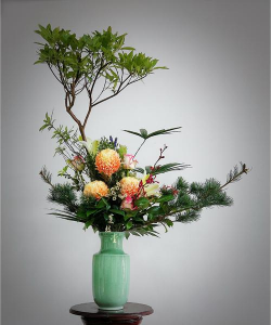 养花造型盘,打造个性盆栽,提升家居美感 养花造型盘,打造个性盆栽,提升家居美感