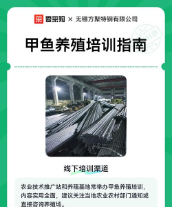 甲鱼养殖基地,选址要点,管理技巧 甲鱼养殖基地,选址要点,管理技巧