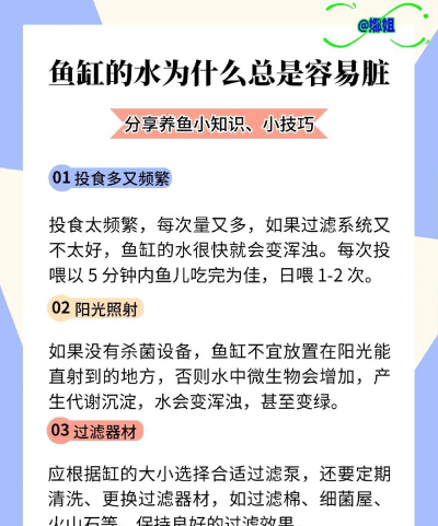 海鱼养殖,技术要点,常见问题 海鱼养殖,技术要点,常见问题