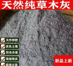 炉灰面养花,改善土壤透气,促进植物生长 炉灰面养花,改善土壤透气,促进植物生长