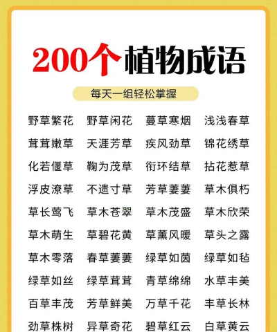 成语养花小,轻松入门,享受园艺乐趣 成语养花小,轻松入门,享受园艺乐趣