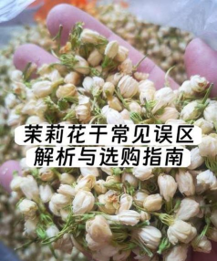 用血养花会怎样,常见误区解析,科学养护建议 用血养花会怎样,常见误区解析,科学养护建议