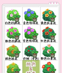 动森花卉,怎么种才好看,新手必看指南 动森花卉,怎么种才好看,新手必看指南